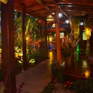 Physis Caribbean Bed & Breakfast